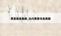 黑客袭击美国_北约黑客攻击美国