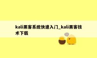 kali黑客系统快速入门_kali黑客技术下载