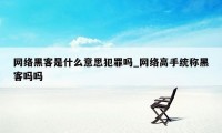 网络黑客是什么意思犯罪吗_网络高手统称黑客吗吗