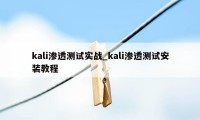 kali渗透测试实战_kali渗透测试安装教程