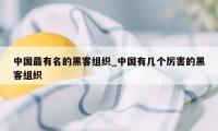 中国最有名的黑客组织_中国有几个厉害的黑客组织