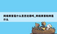 网络黑客是什么意思犯罪吗_网络黑客陷阱是什么