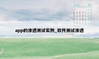 app的渗透测试实例_软件测试渗透