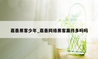 嘉善黑客少年_嘉善网络黑客案件多吗吗