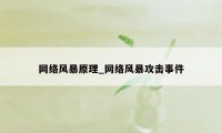 网络风暴原理_网络风暴攻击事件