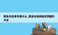 爬虫攻击事件是什么_爬虫攻击网站实例图片大全