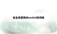 包含渗透测试socket的词条