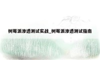 树莓派渗透测试实战_树莓派渗透测试指南