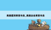 美国遭到黑客攻击_美国企业黑客攻击