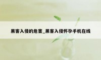 黑客入侵的危害_黑客入侵怀孕手机在线