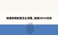 维盟防御配置怎么设置_维盟DDOS攻击