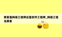 黑客是网络工程师还是软件工程师_网络工程当黑客