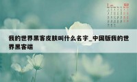 我的世界黑客皮肤叫什么名字_中国版我的世界黑客端