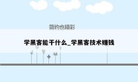 学黑客能干什么_学黑客技术赚钱