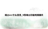 端口vcr什么意思_V型端口扫描电镜图片