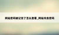 网站密码被记住了怎么查看_网站攻击密码