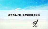 黑客怎么上网_黑客如何使用网络